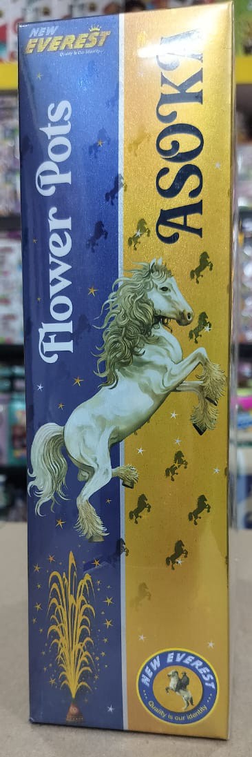 Flower Pot Asoka (10 Pcs)